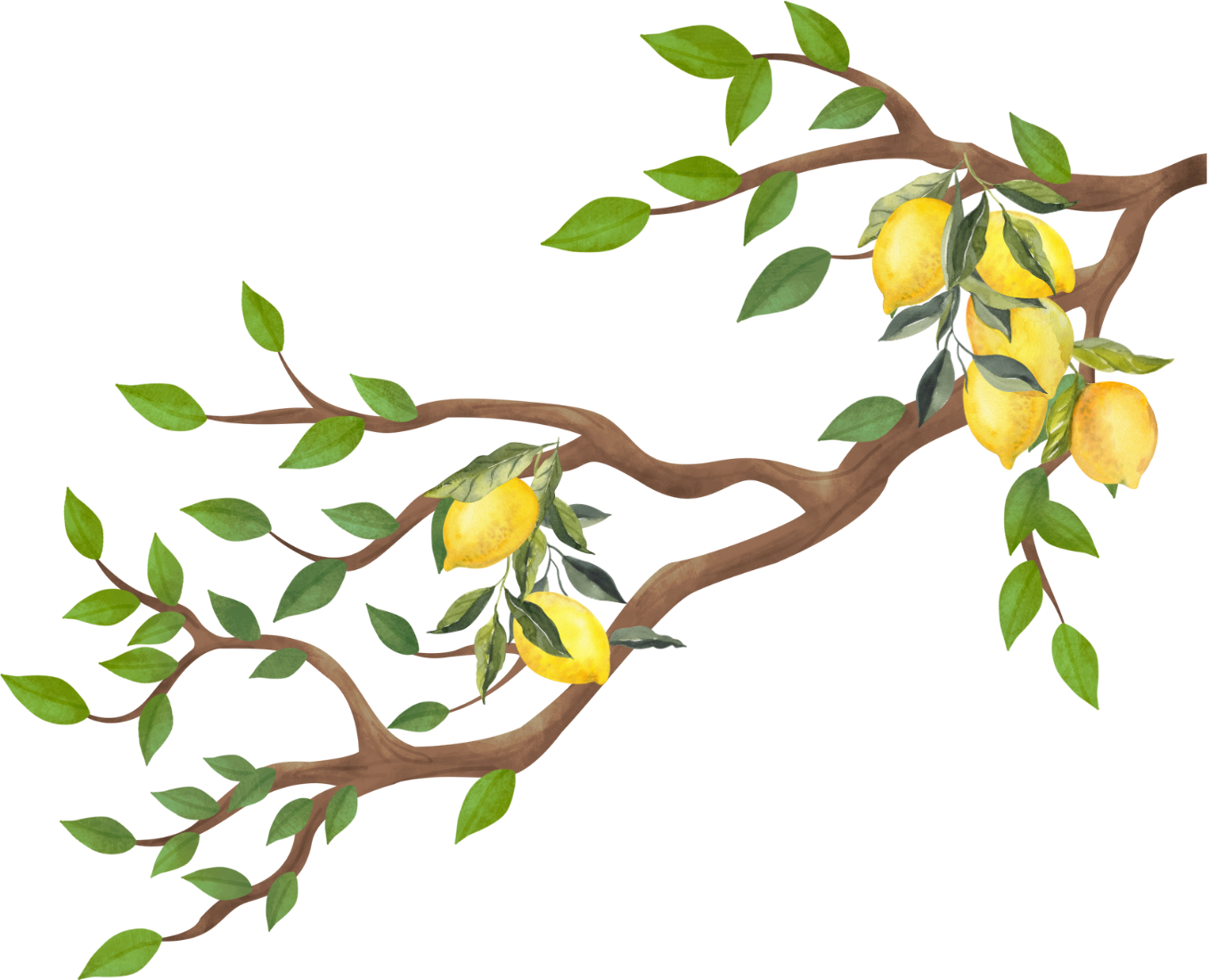 Decorative Background