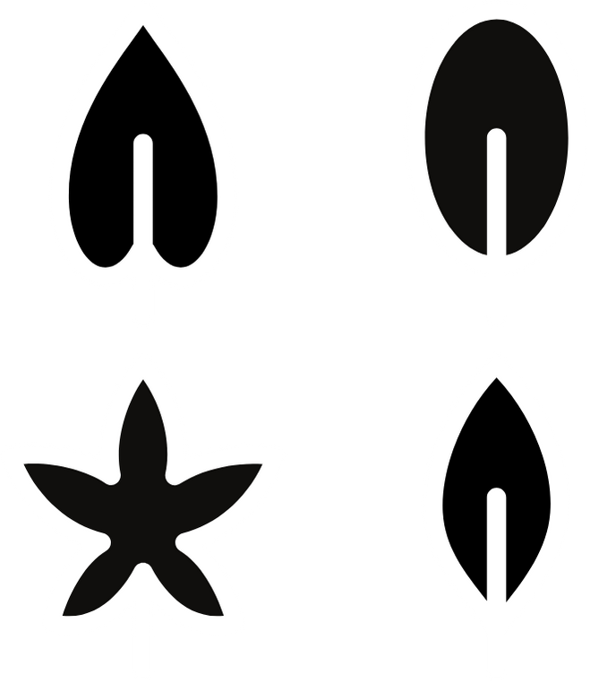 Program Icon
