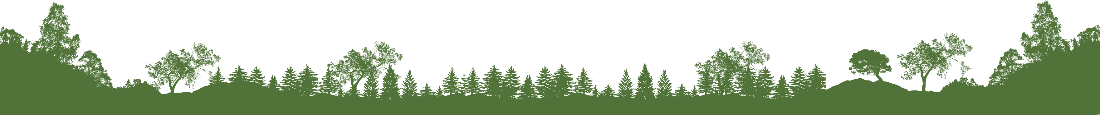 Footer Background